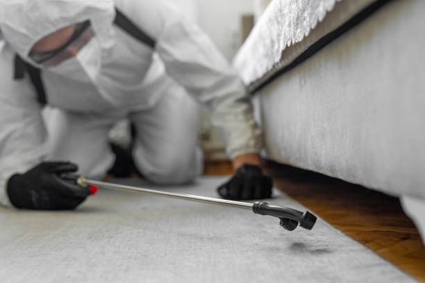 Professional Ant Control technician working in Plandome, NY